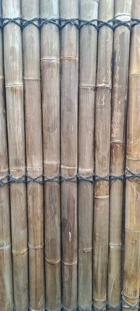 竹子素材竹林墙面