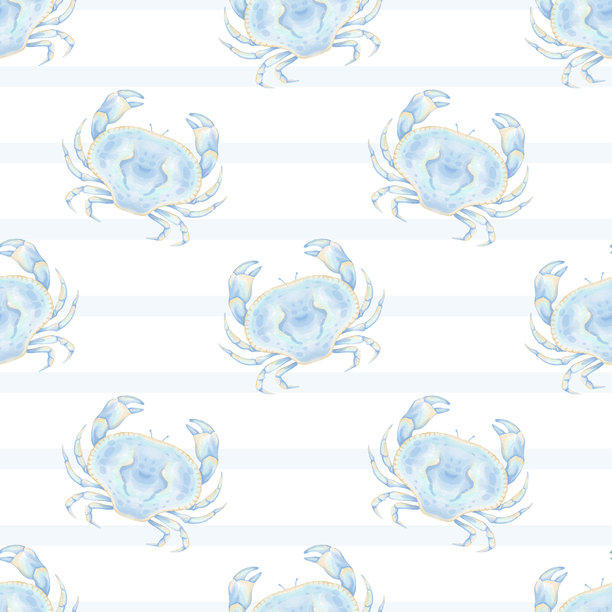 青蟹插画