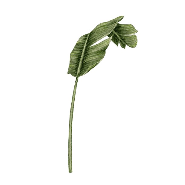 luau