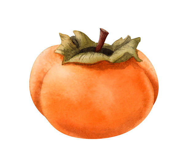 中式手绘植物叶子