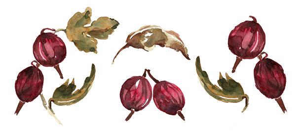 手绘水果包装盒