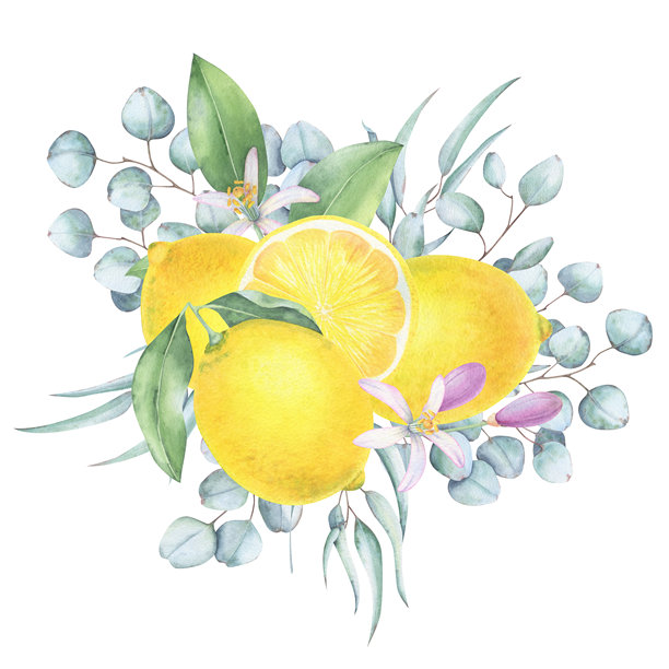 手绘水果包装盒