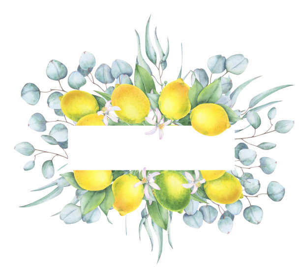 手绘水果包装盒