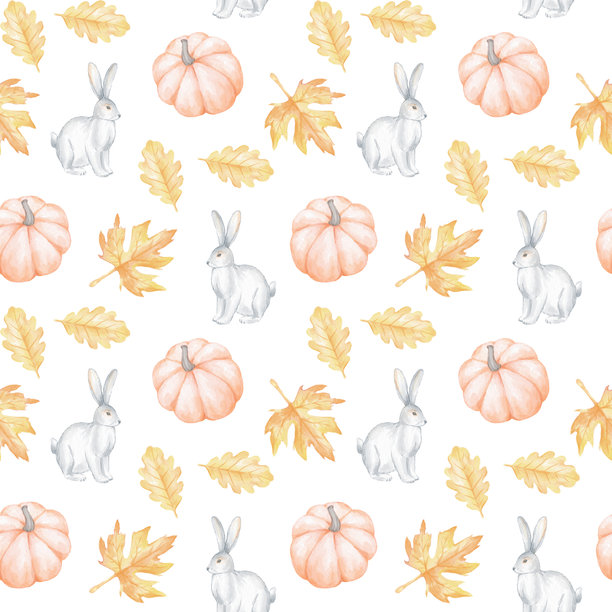 手绘水果包装盒