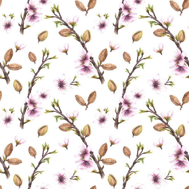 手绘水果包装盒