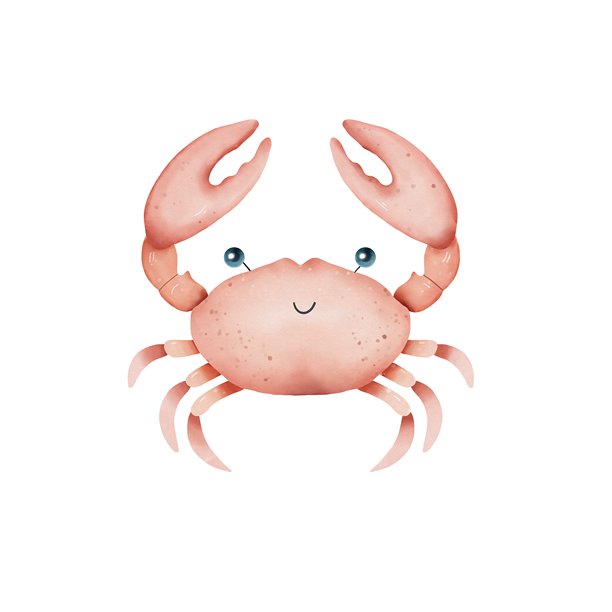青蟹插画