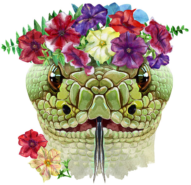 中式手绘花卉插画