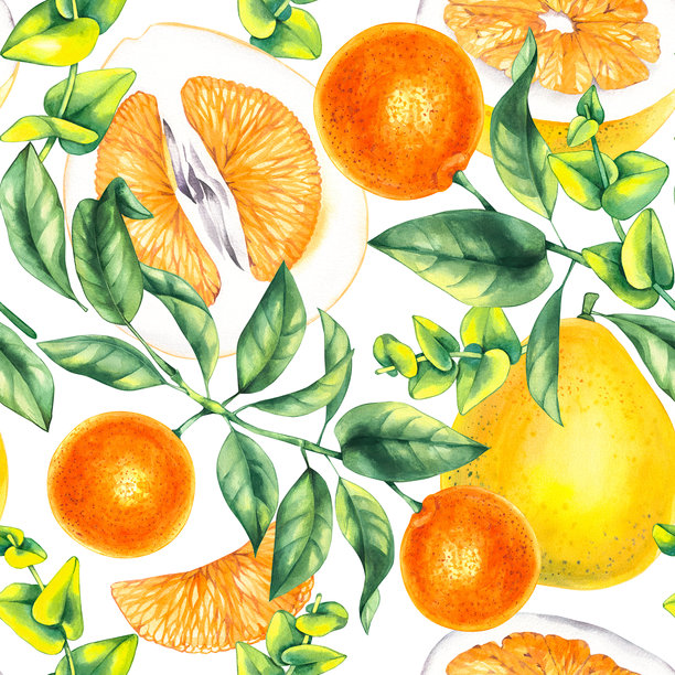 手绘橙色切片水果图案