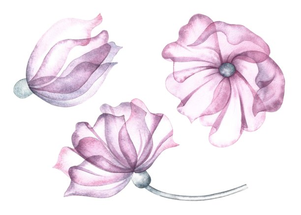 装饰手绘花挂画