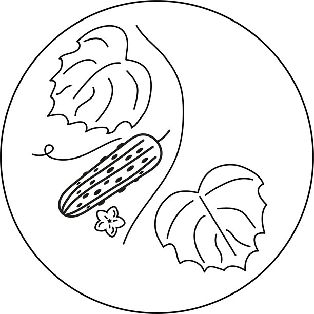 美陈