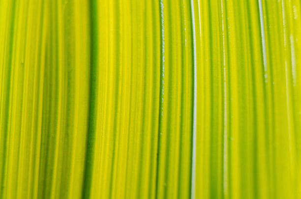 手绘抽象艺术油画背景