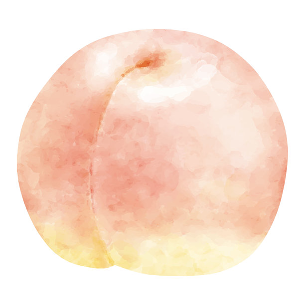 水蜜桃手绘