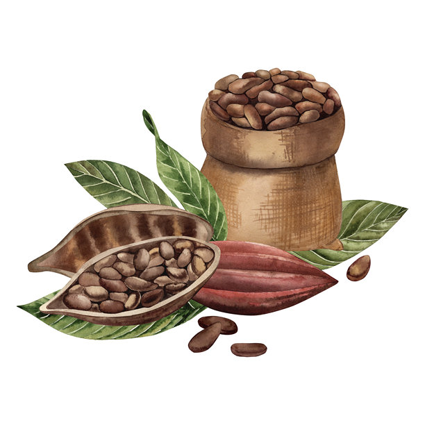 手绘水果包装盒