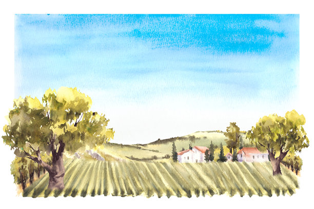 山水插画果园手绘