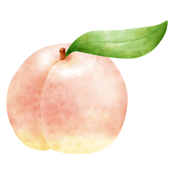 手绘水蜜桃