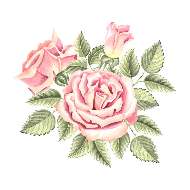手绘牡丹花