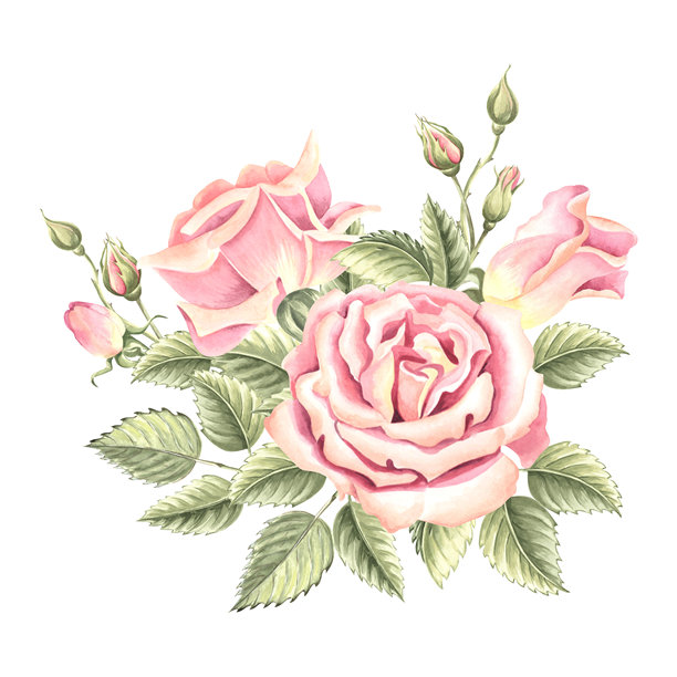 手绘牡丹花