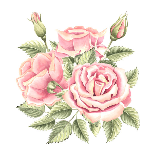 手绘牡丹花