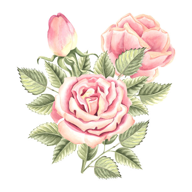 手绘牡丹花