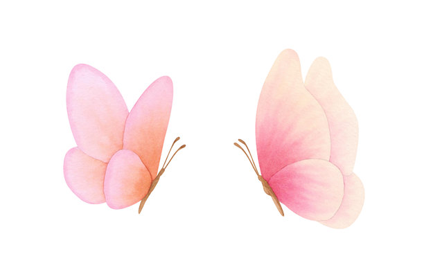 装饰手绘花挂画