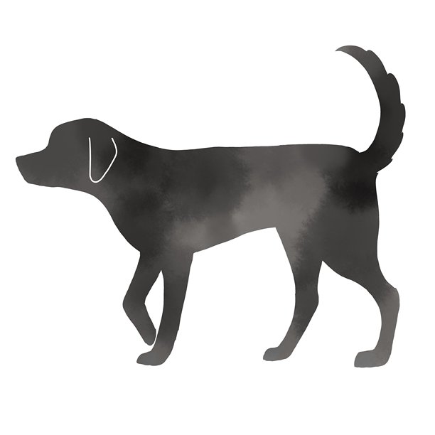 爪印,犬科,尾巴