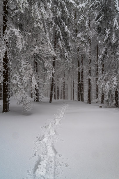 山脊,雪,斯拉夫文化