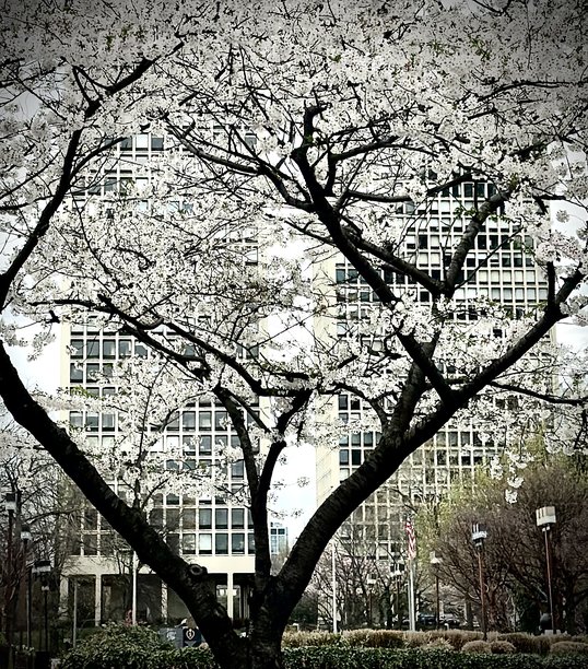 城市生活,空的,美国文化