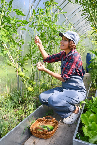 仅一个中老年女人,温室,栽培植物