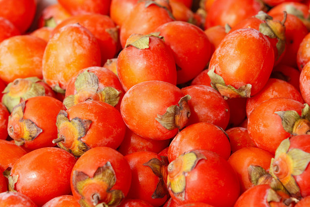 农业,超级食物,清新