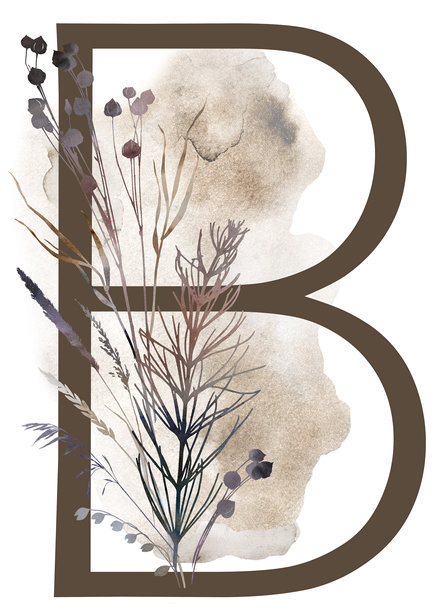 花环,季节,豆荚