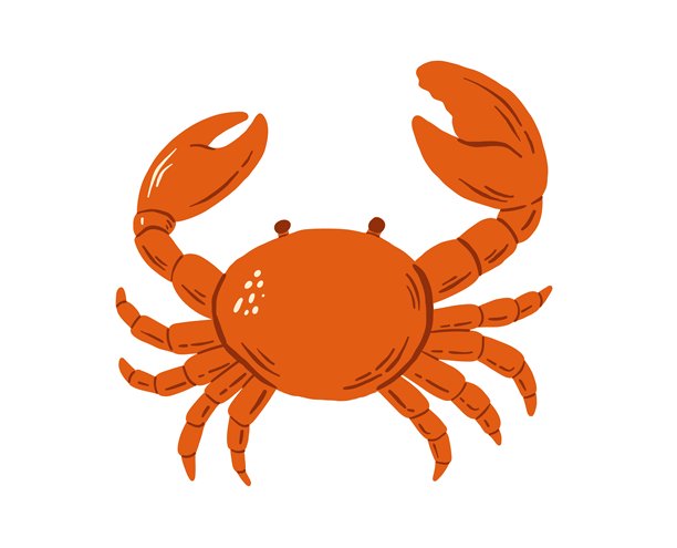 甲壳动物,美味,地中海美食