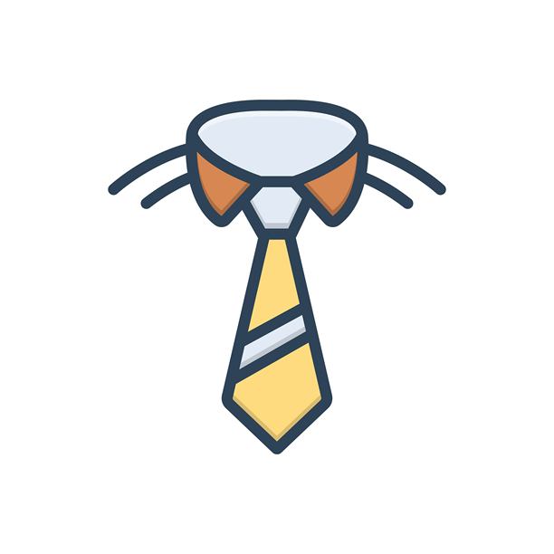 Veer