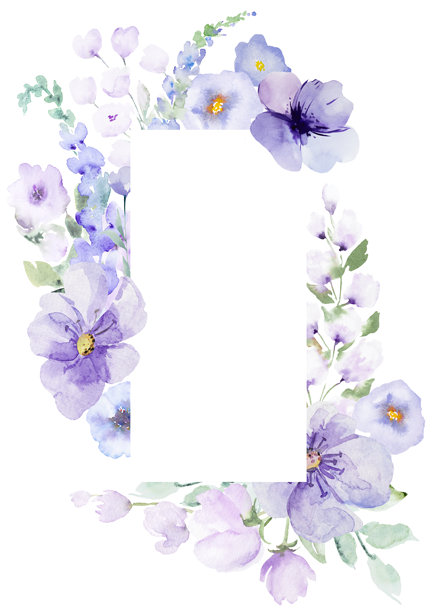 薰衣草色,花簇,花