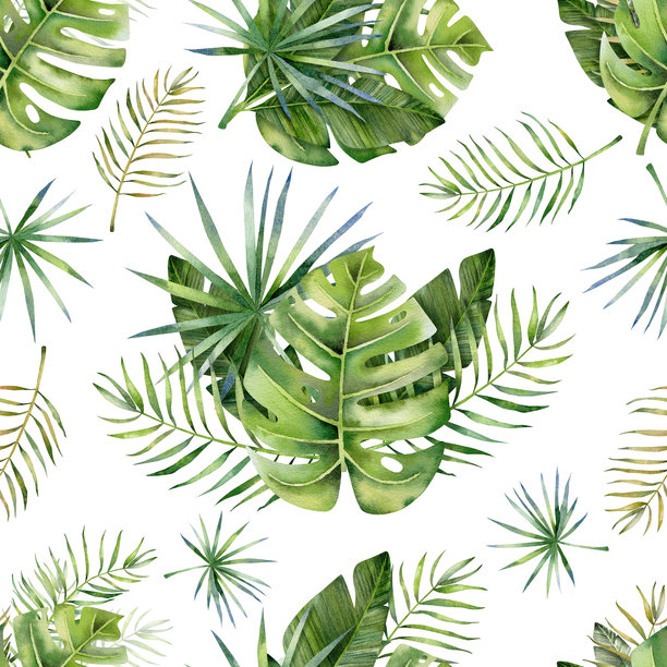 Veer
