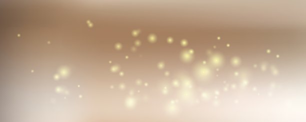 Veer
