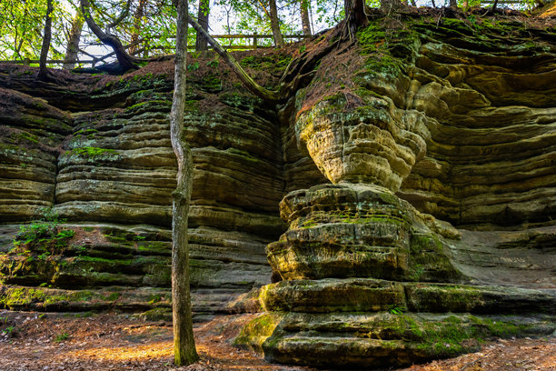Veer