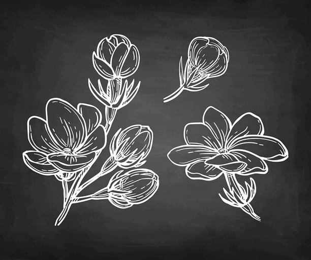 Veer