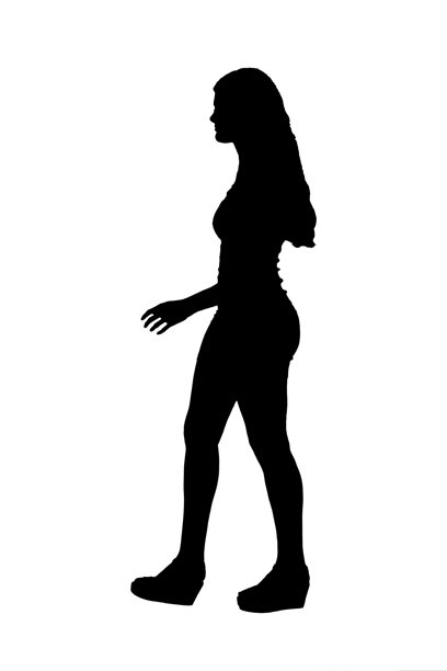 Veer