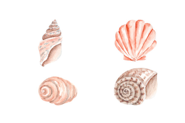 Veer