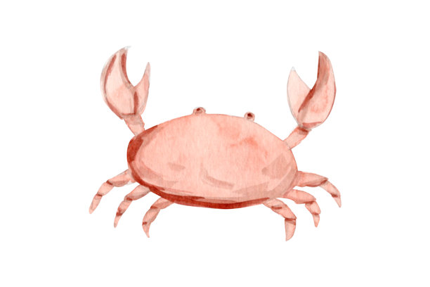 Veer