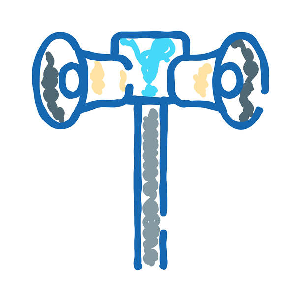 Veer