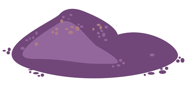 Veer
