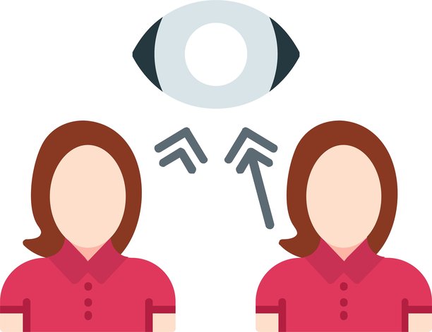 Veer