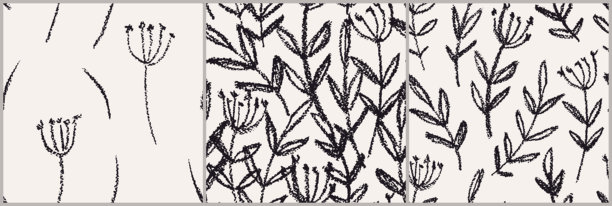 Veer