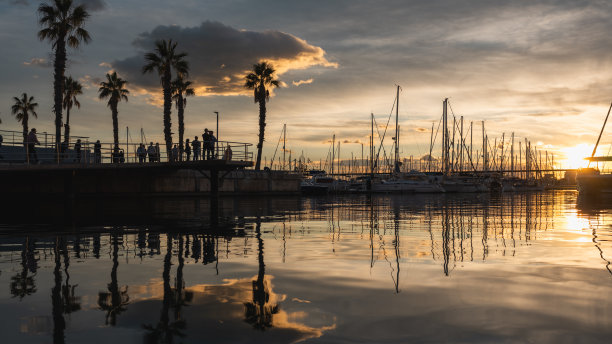 Veer