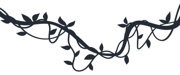 Veer