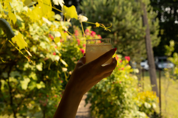 Veer