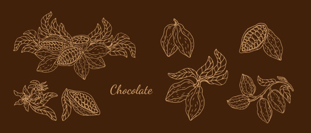 Veer