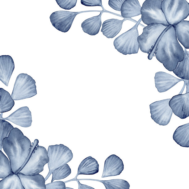 Veer