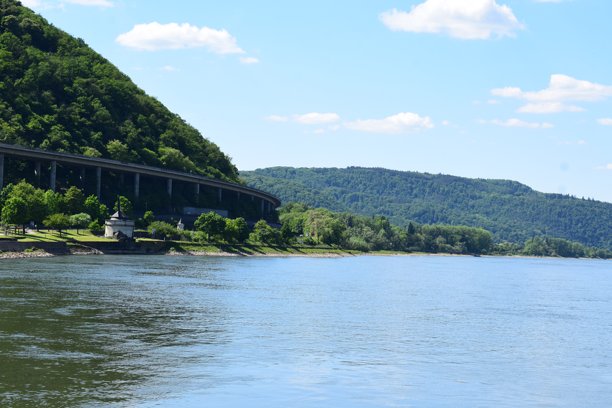 Veer